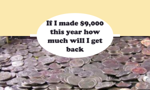 if i made $9,000 this year how much will i get back