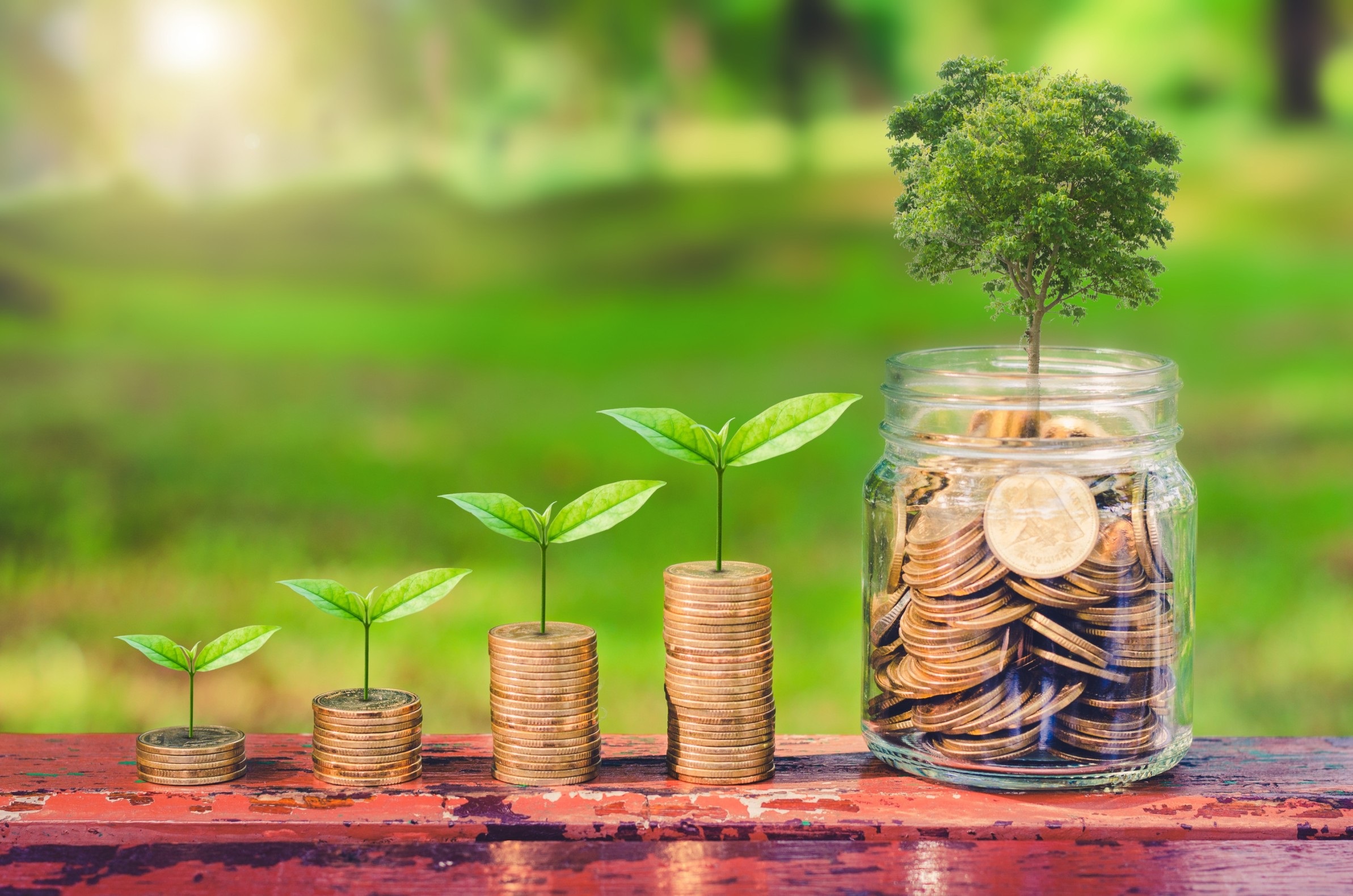  Sustainable Investing: Shaping the Future Through Conscious Capital – Scott Tominaga
