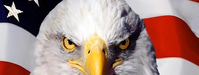  Pinnacle Wealth Preservation: Your Premier Broker Dealer for IRAs and Silver Investments