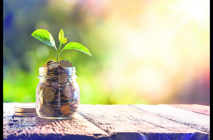  Managing Money as a Creative Professional: How Fixed Deposits Can Bring Stability